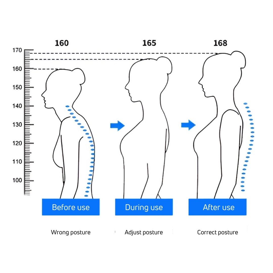 Rugharmony ™ - adjustable posture improvers for the back