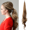 Alycia's ponytail (1 + 1 free)